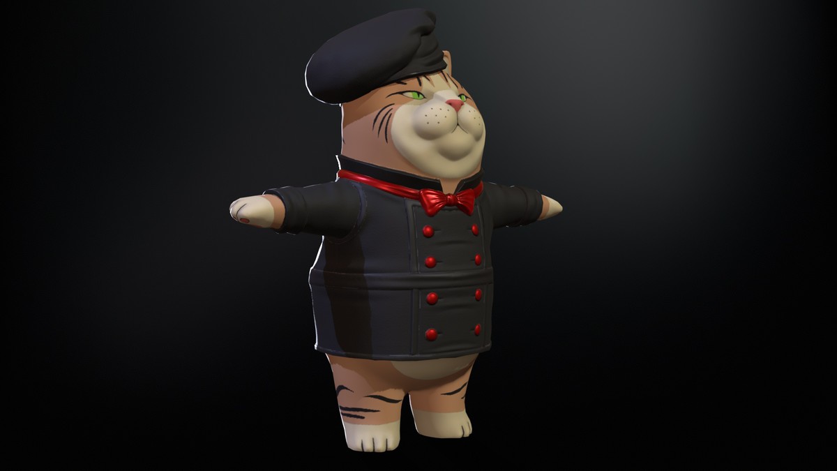 Cook Cat