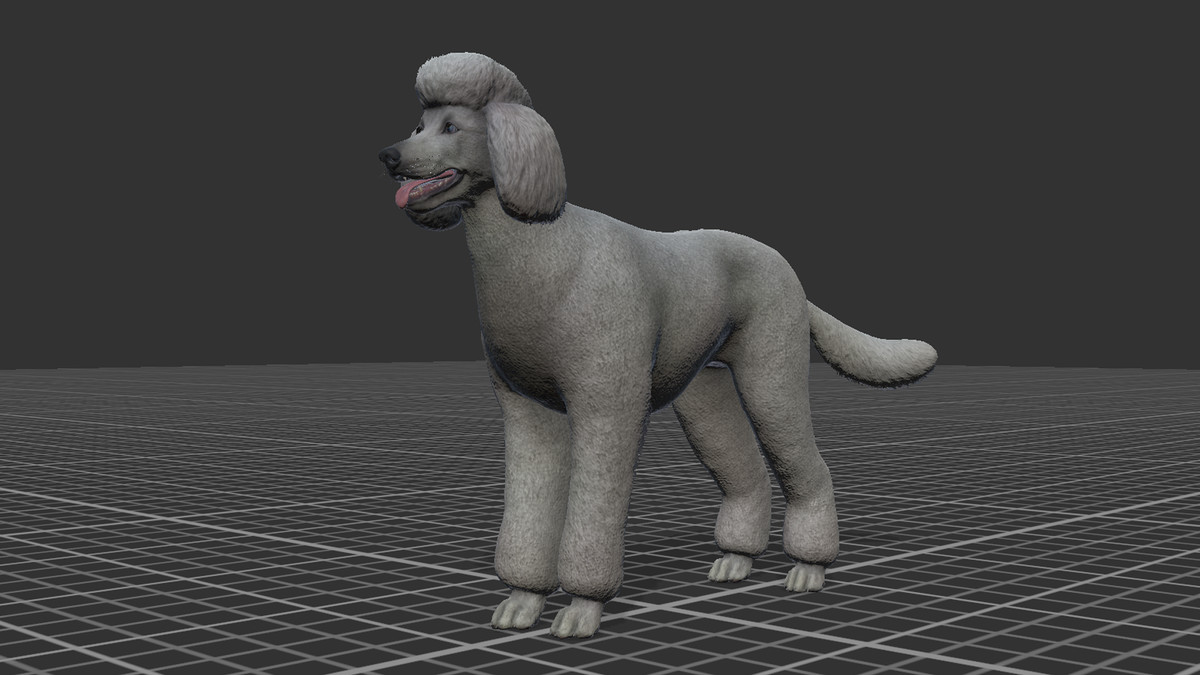 Dog - Poodle