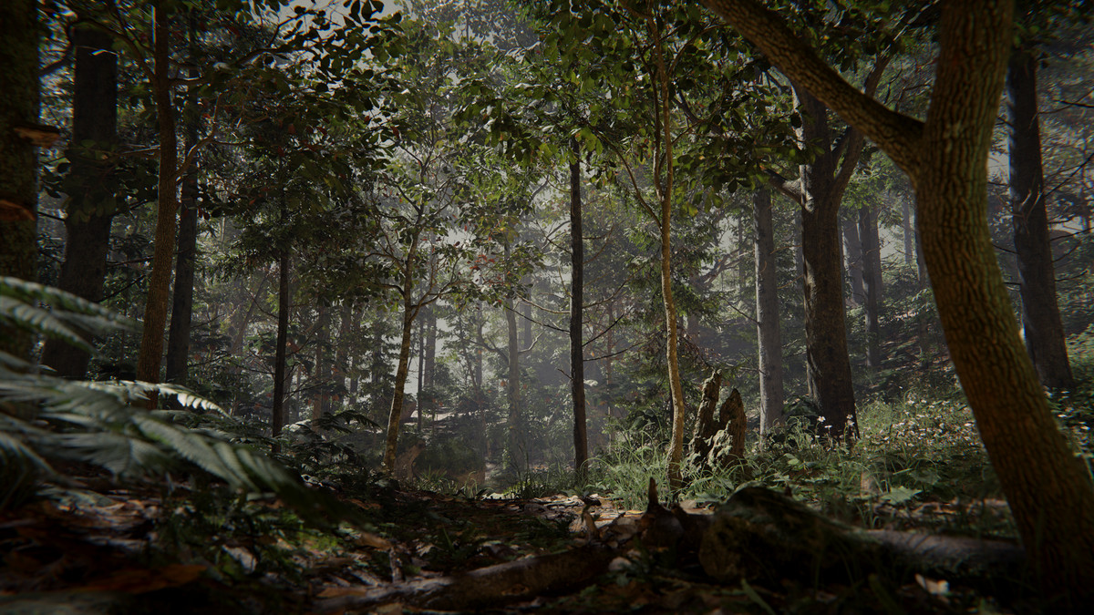 SeedMesh Forest Bundle