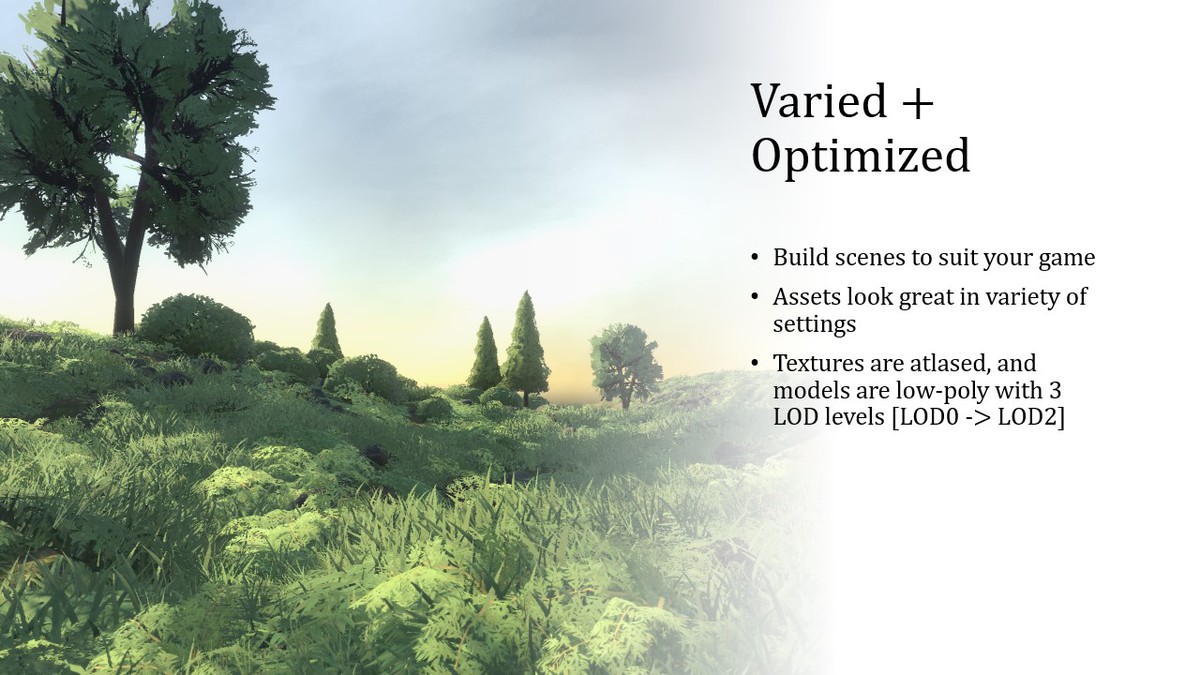 Common Forest | Stylized Nature