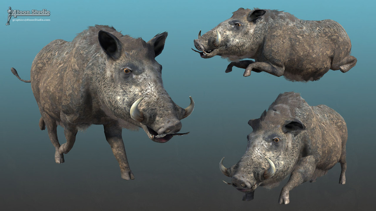 Forest Animal - Boar (Full)