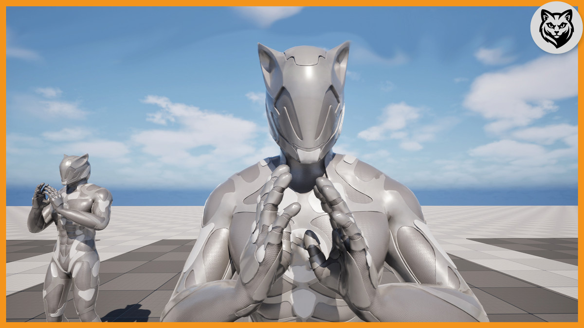 Character Creation and Selection Animation Pack