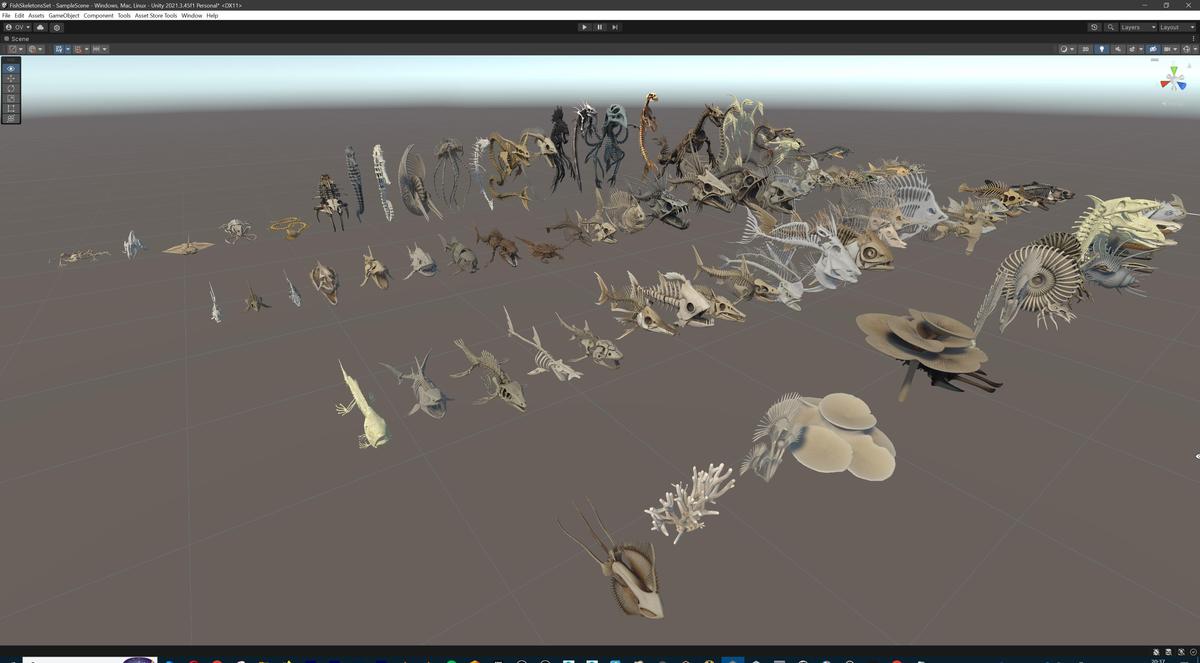 Fish and Underwater Creatures Skeleton Collection – Marine Bone 3D Asset Pack