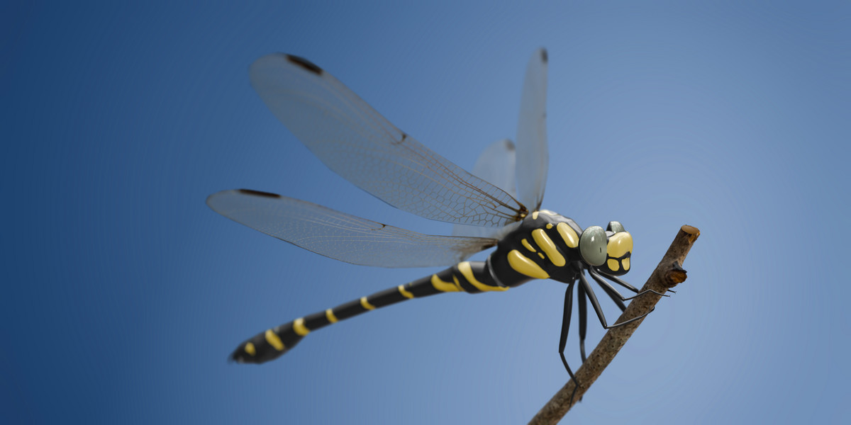 Animated insect bundle