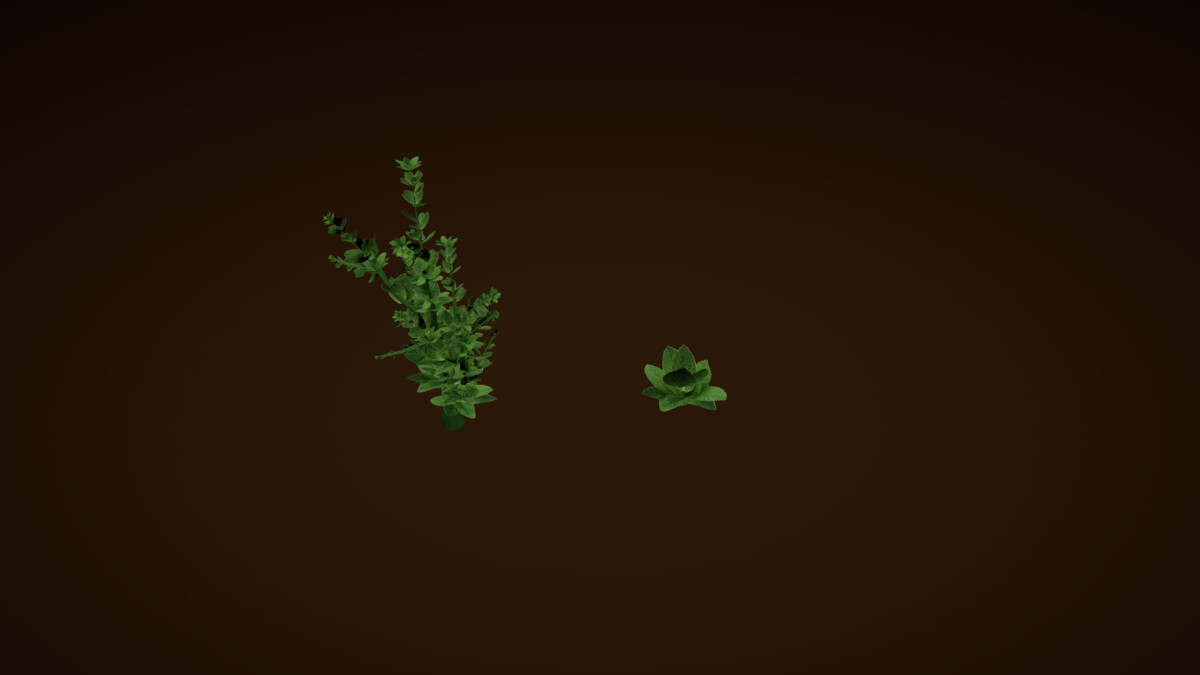 Garden Plants Set
