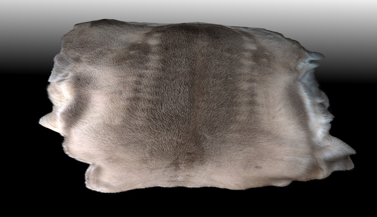 Animal pelts volume 4: giraffe, wolf, stag, reindeer, sheep, bull, bison 4k