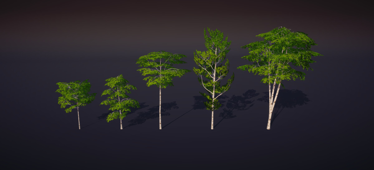 Low-Poly Birch Tree Pack - Multi-Season