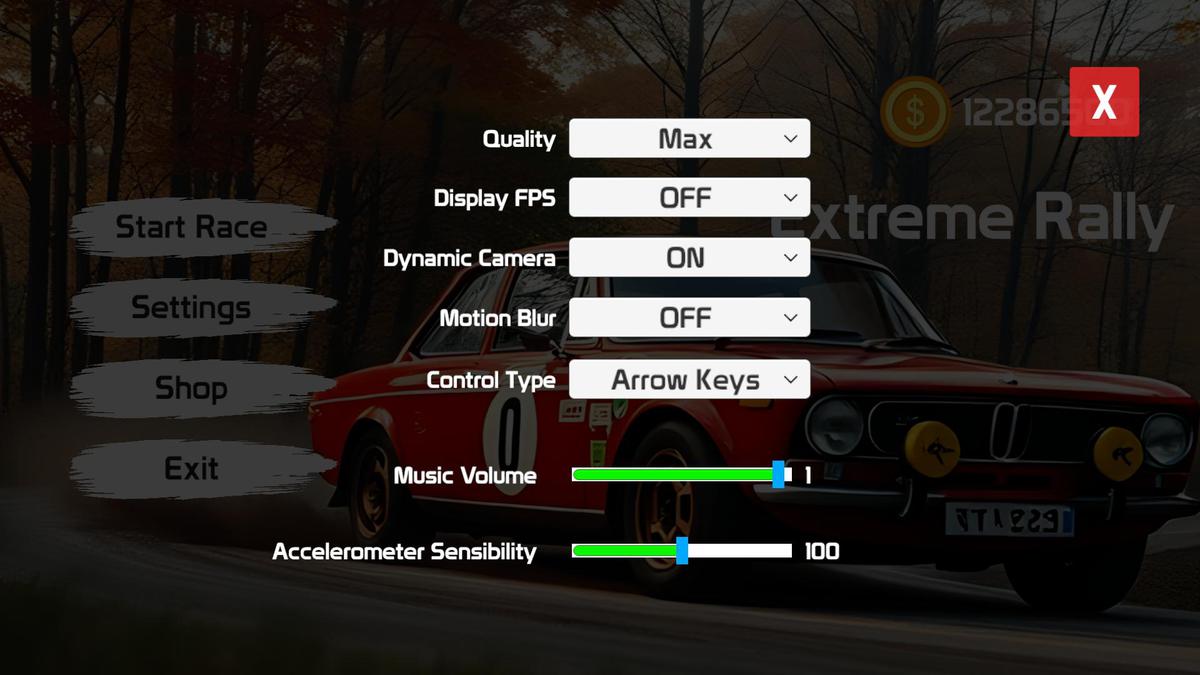 Rally Racing Game