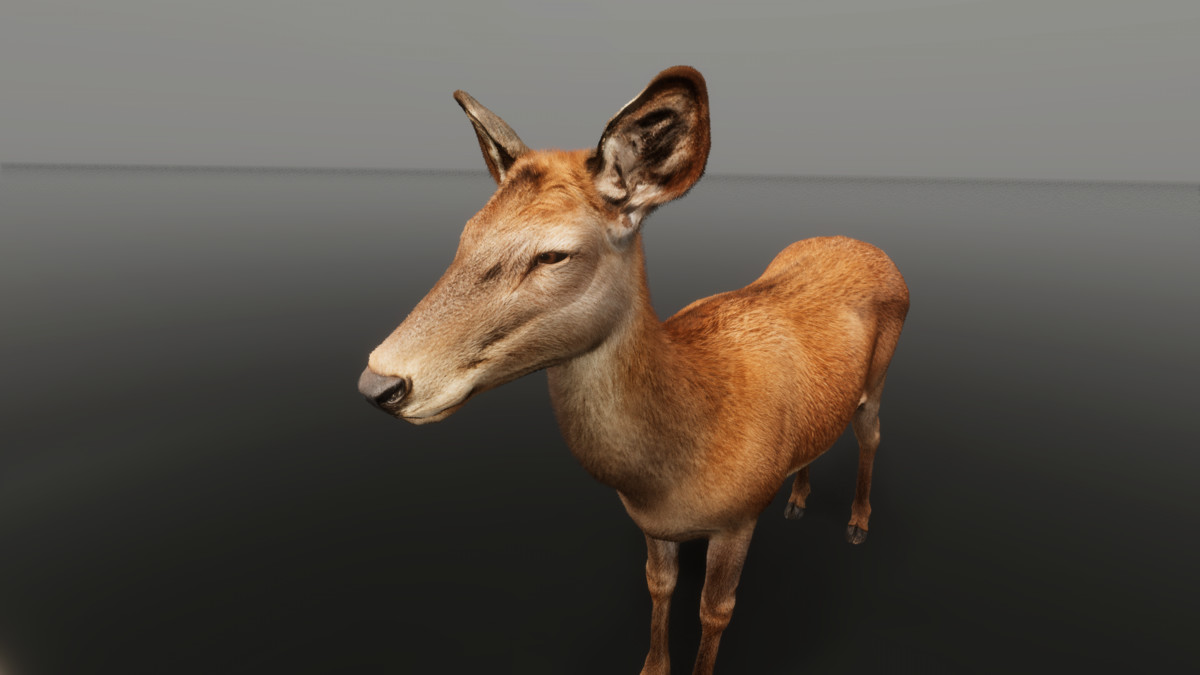 Ultrarealistic Forest Animals - Customizable Fur