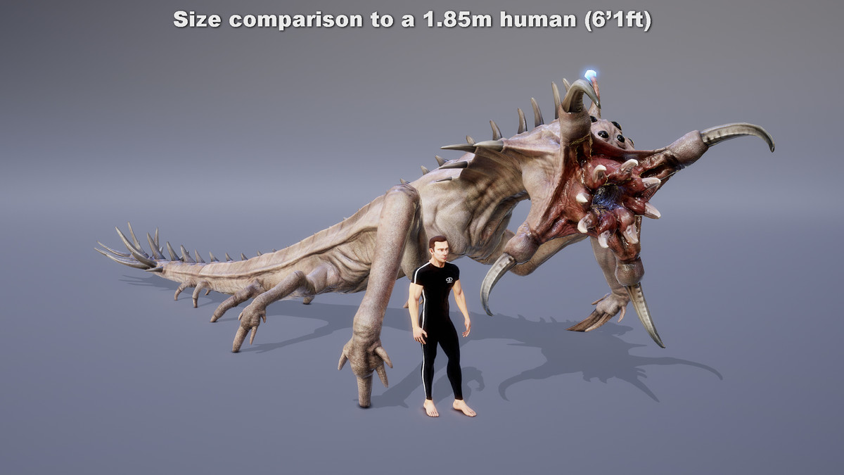 MONSTER: TETRUNCOPHIPUS
