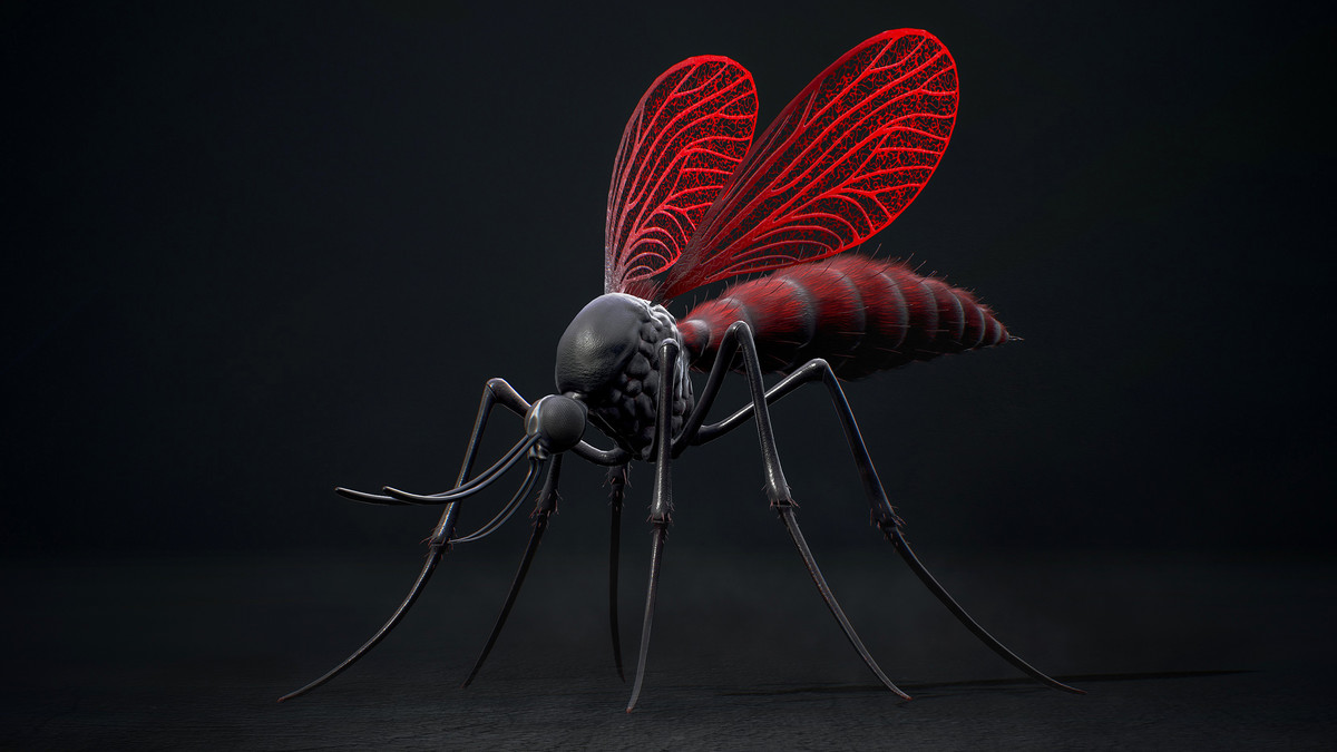 Mosquito Queen - Fantasy land Mosquitoes