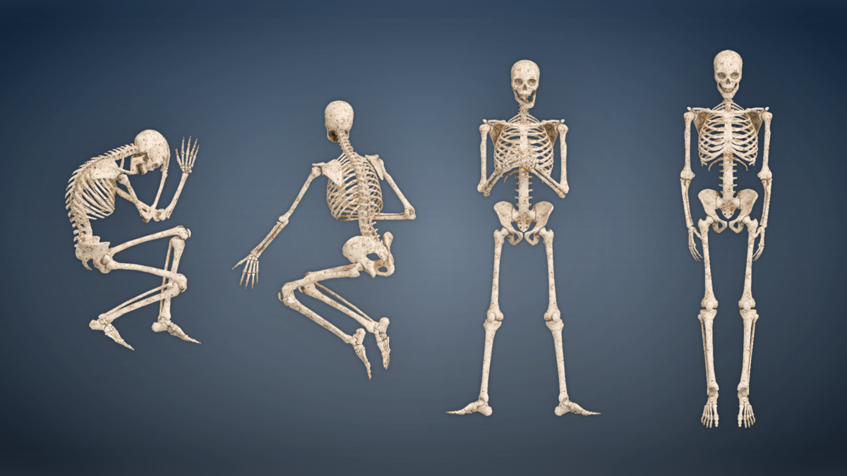 Skeleton Pack