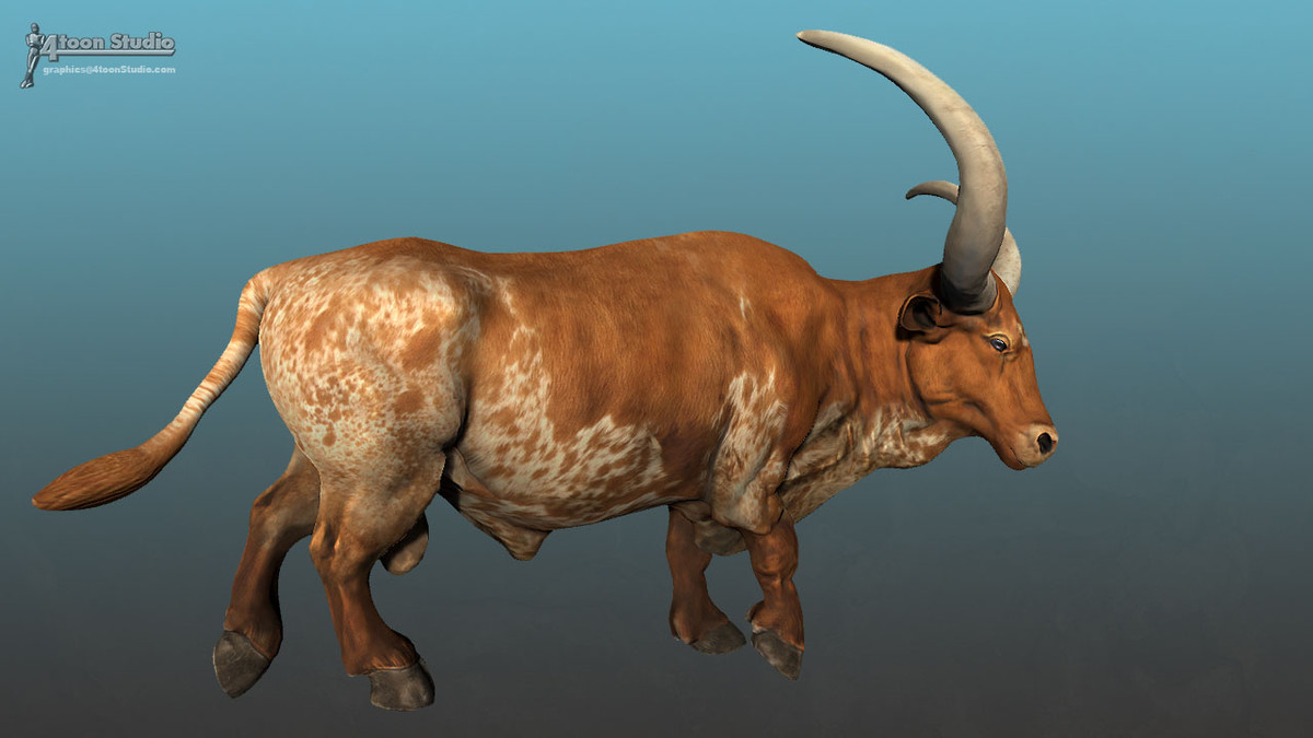 Domestic Bull Texas Long Horn (SV)