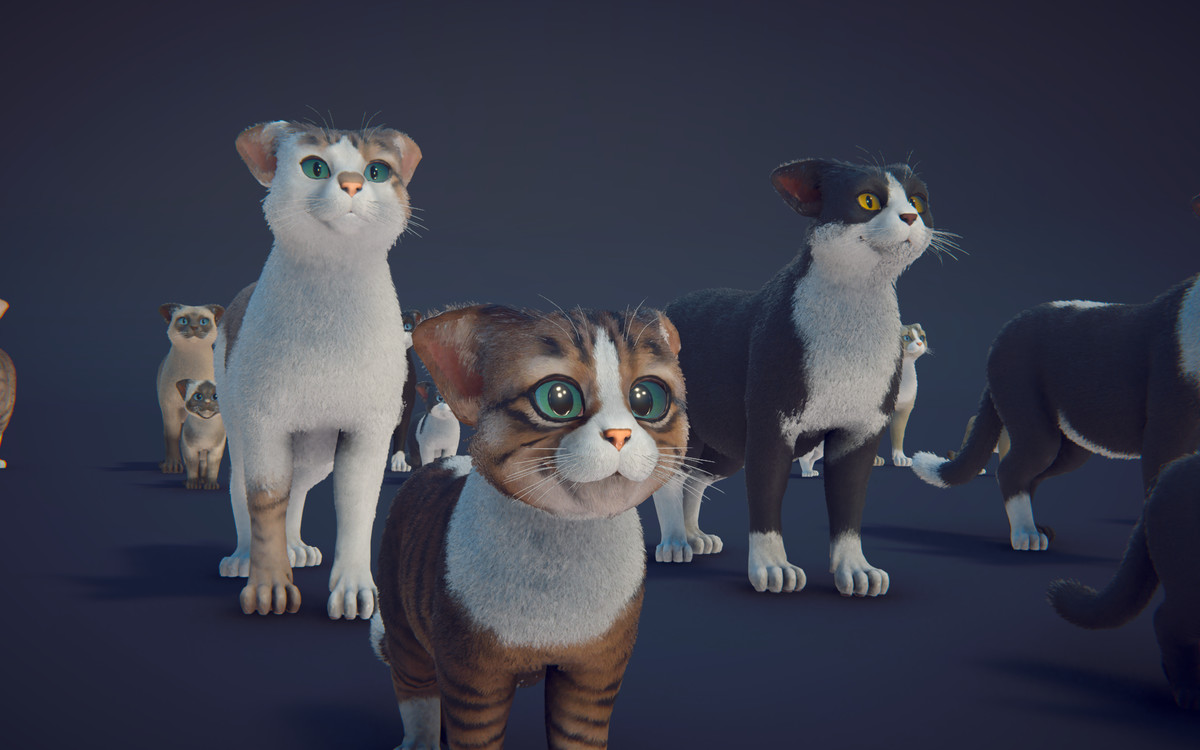 Milo the Cat