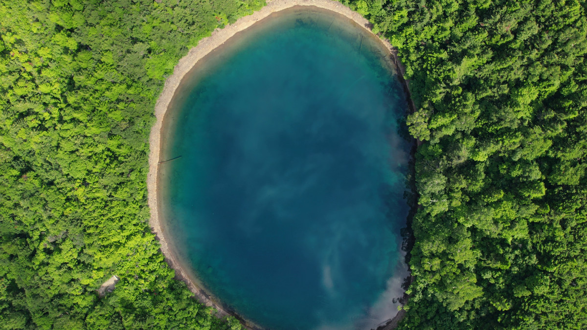 Great Nature Music Pack Vol1