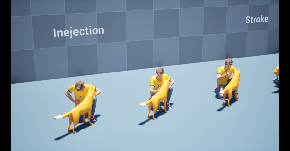 Dog Command Animation
