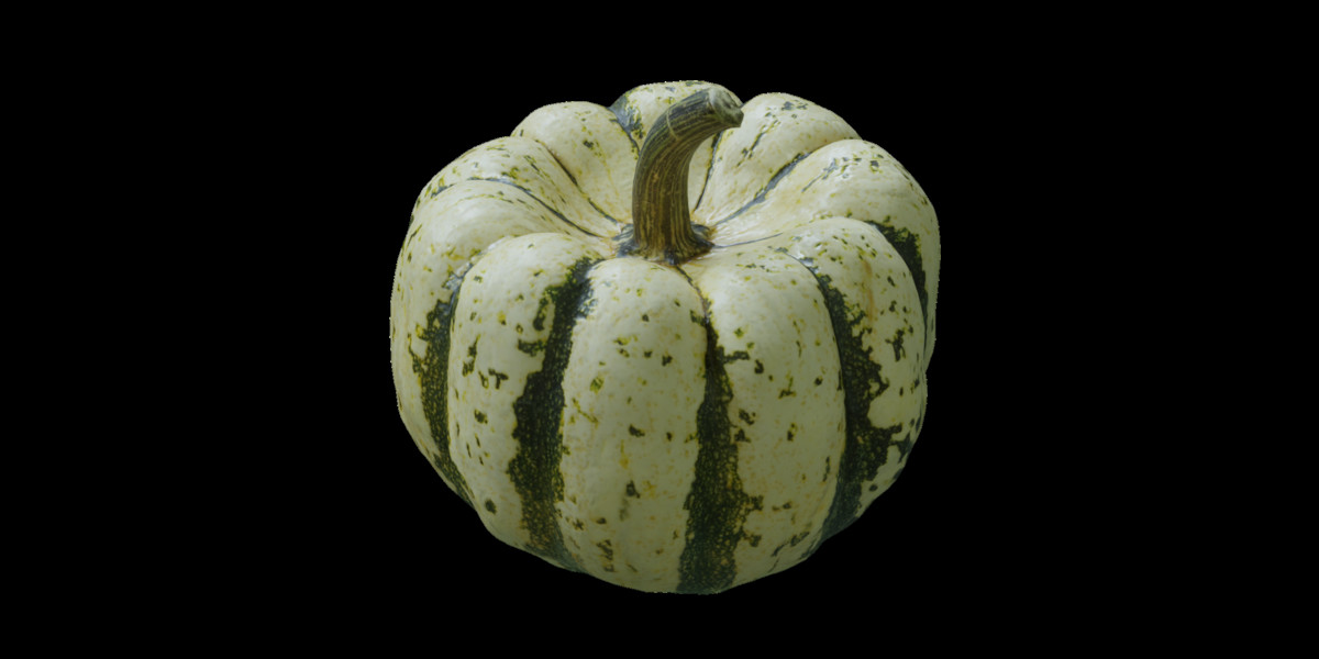 Pumpkin Pack