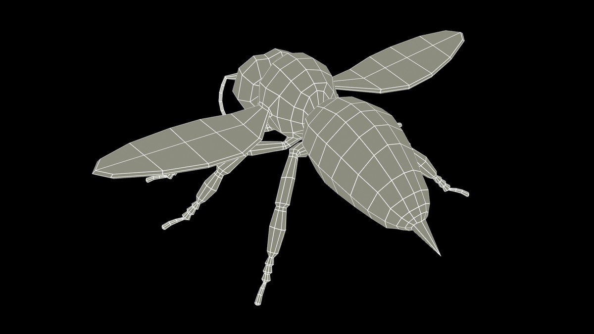 Honey Bee Animated