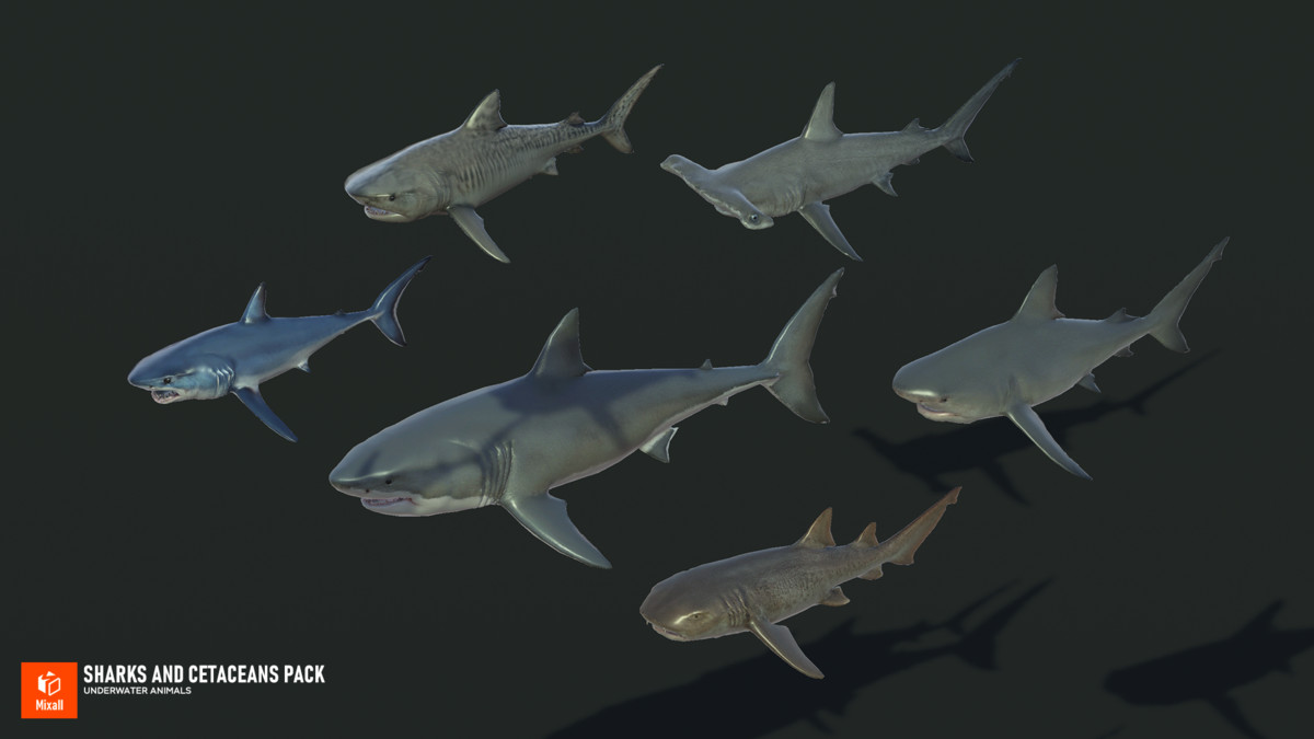 Sharks and Cetaceans Pack