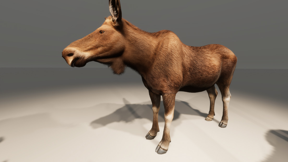 Realistic Deer & Moose – Animated Wildlife Pack