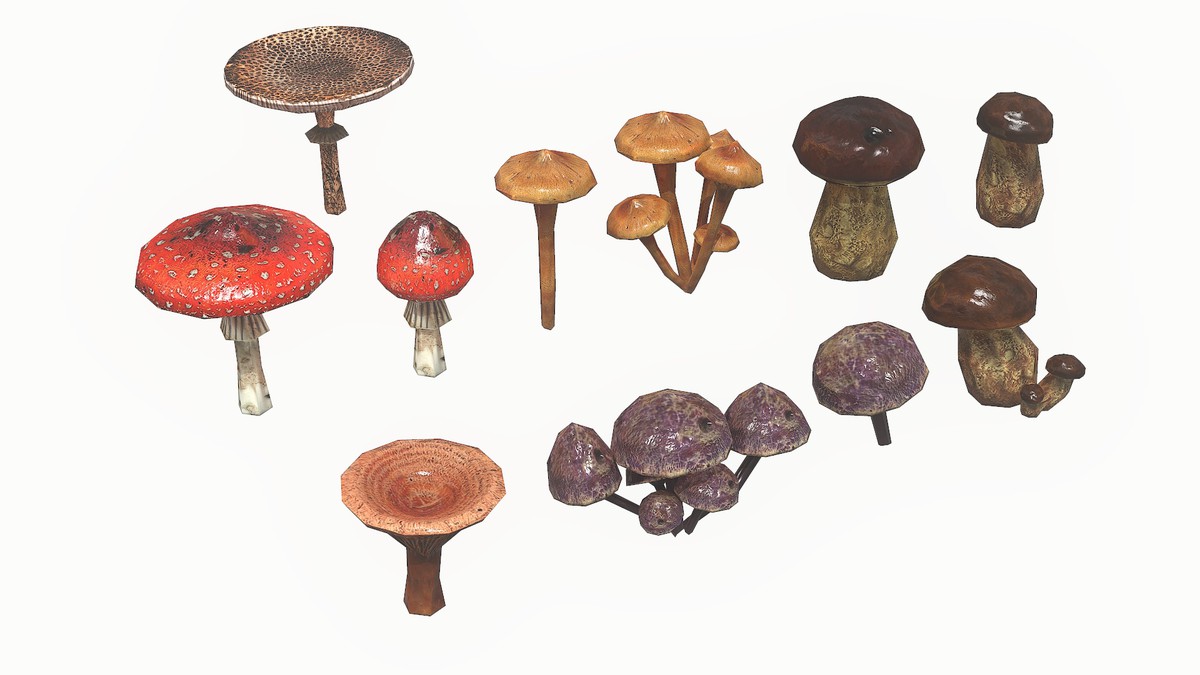 Mushrooms