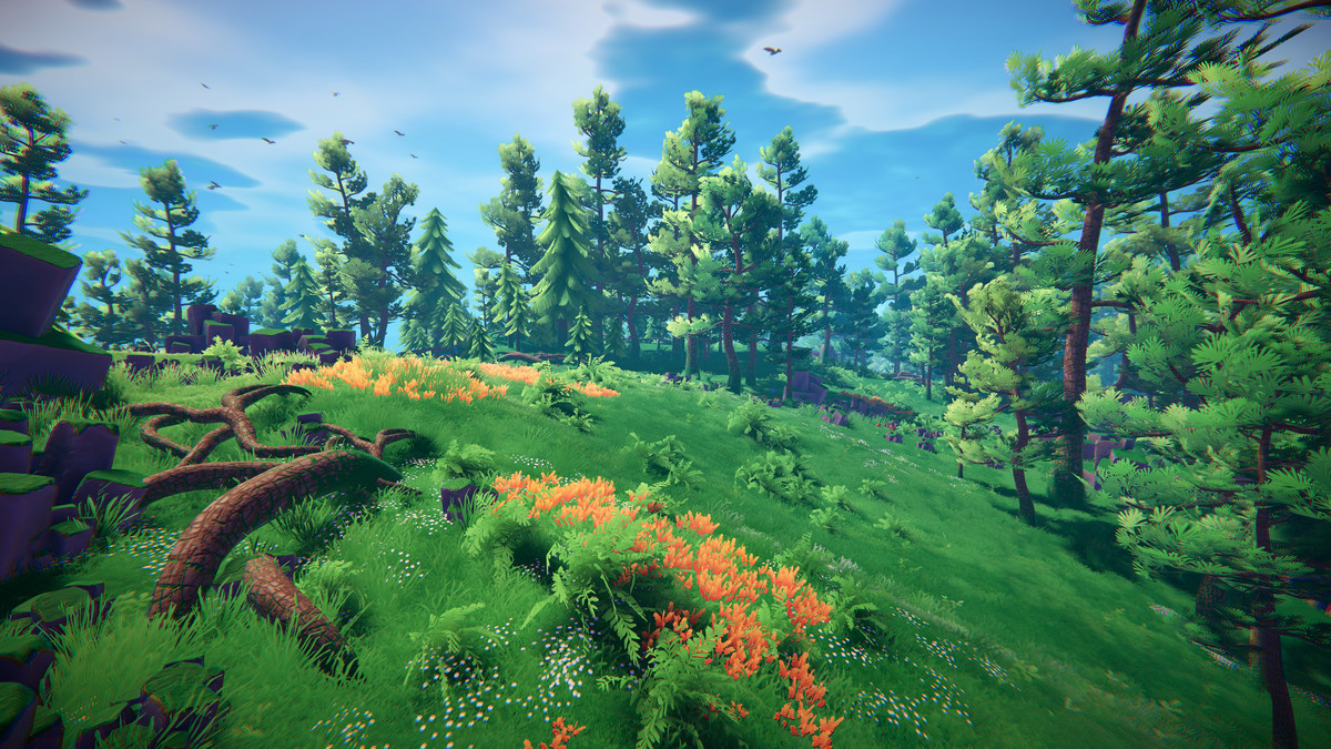 Adventure Nature Vol.6 Forest