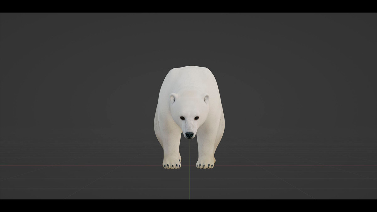 Polar Bear (AnimalDev)
