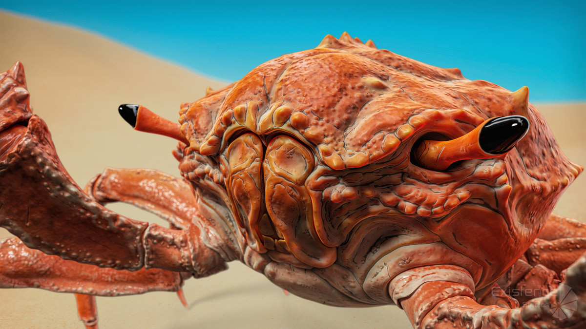 Crab - Coconut Crab - Mantis Shrimp - Sea Turtle - Nautilus - #70