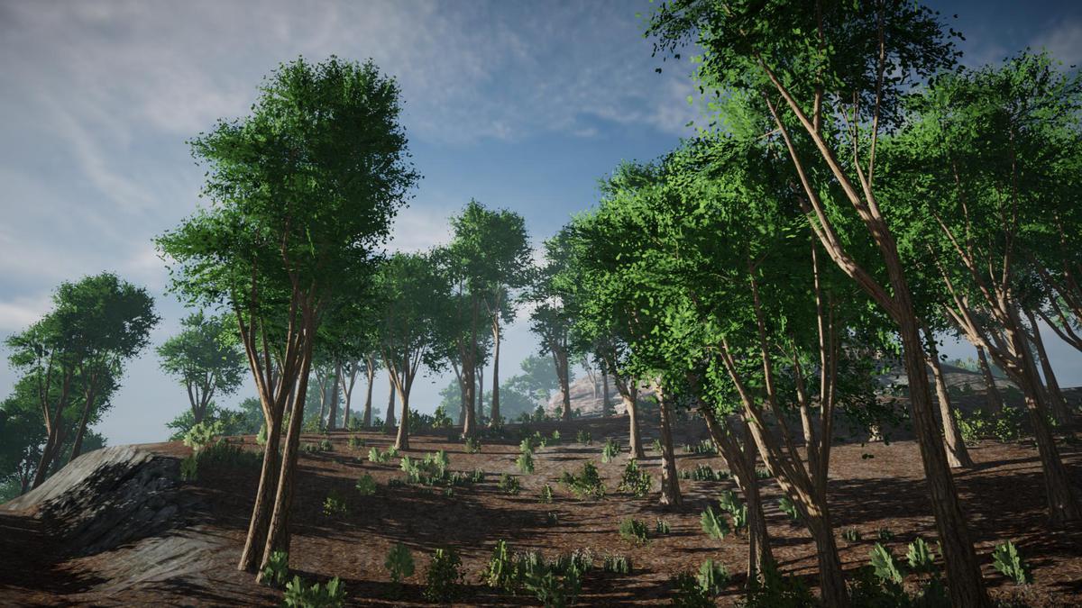 Asset Screenshot 9