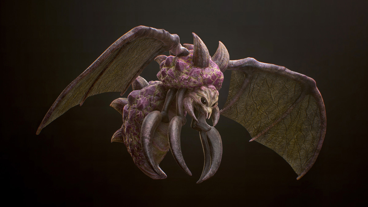 Highland Insect