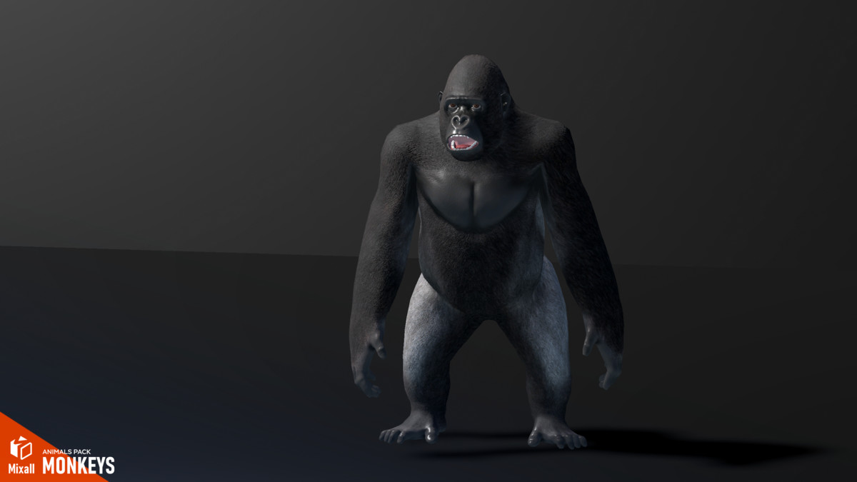 Monkeys - animals pack