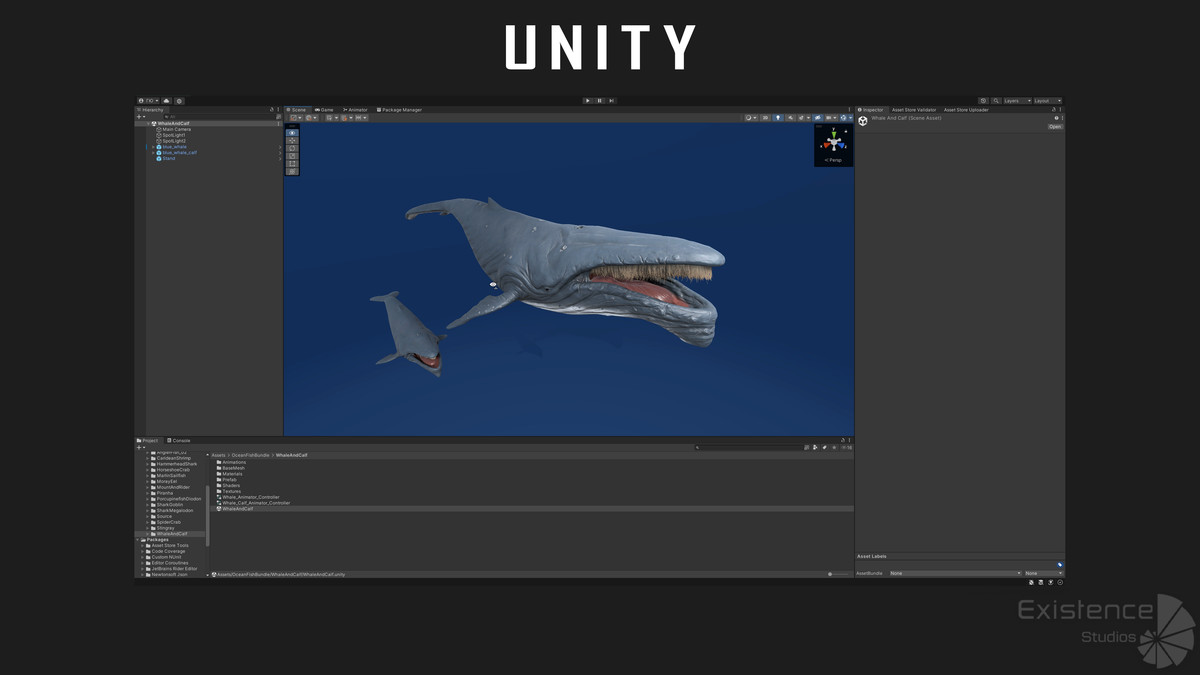 15 In 1 Bundle - Underwater Creature Fish