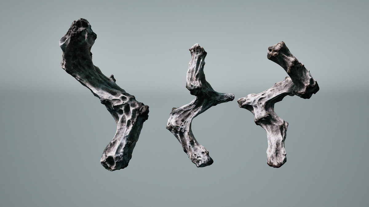 Decay trees