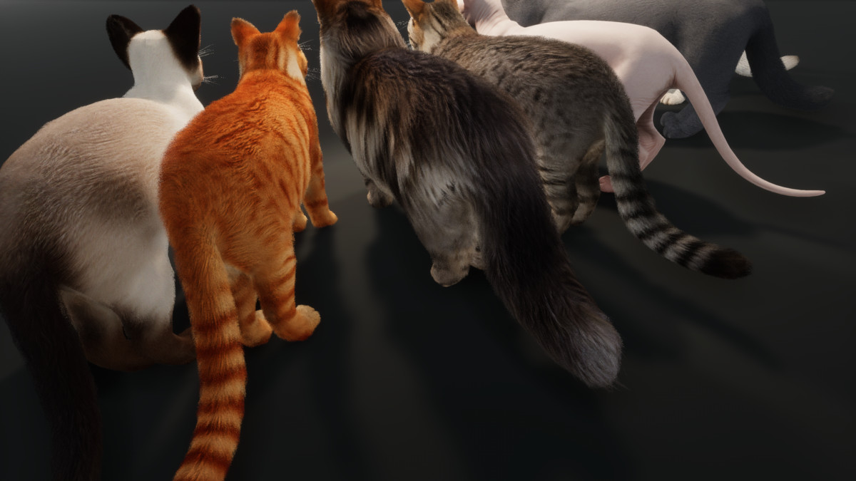 Realistic Cat Pack - Customizable Fur