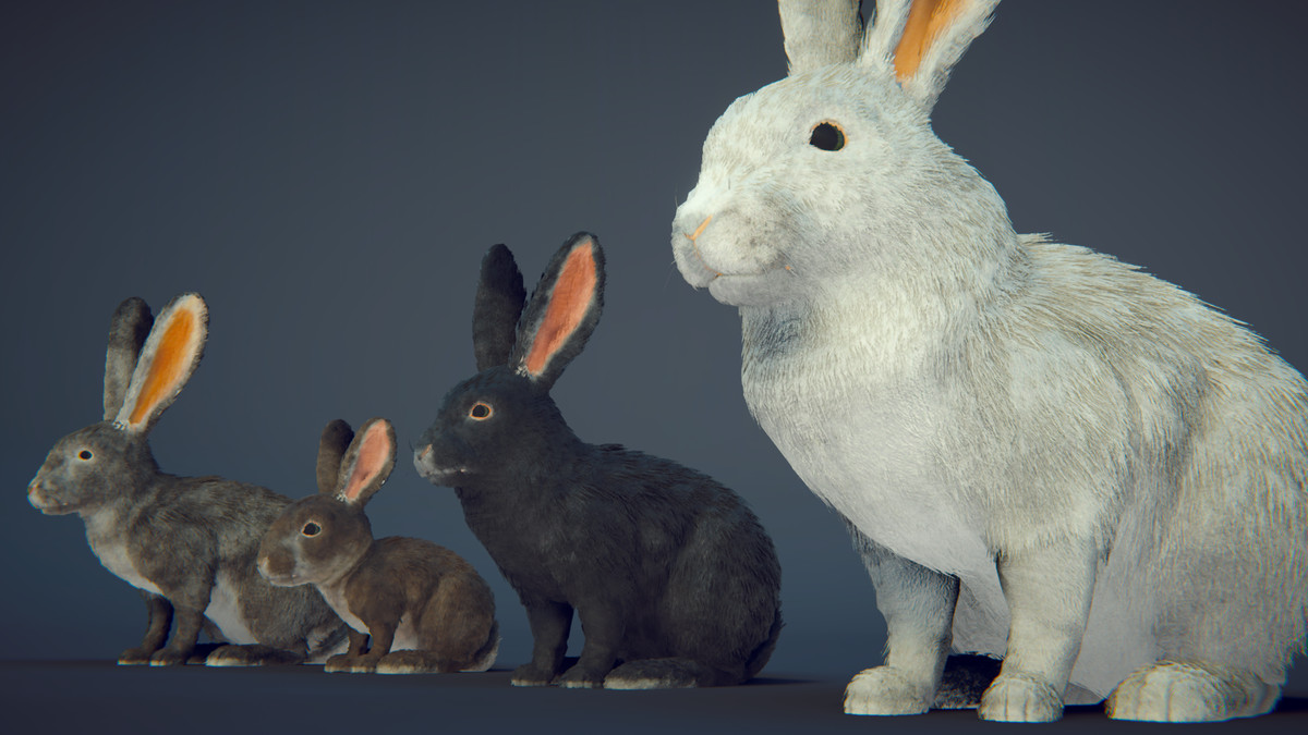 Realistic Rabbits