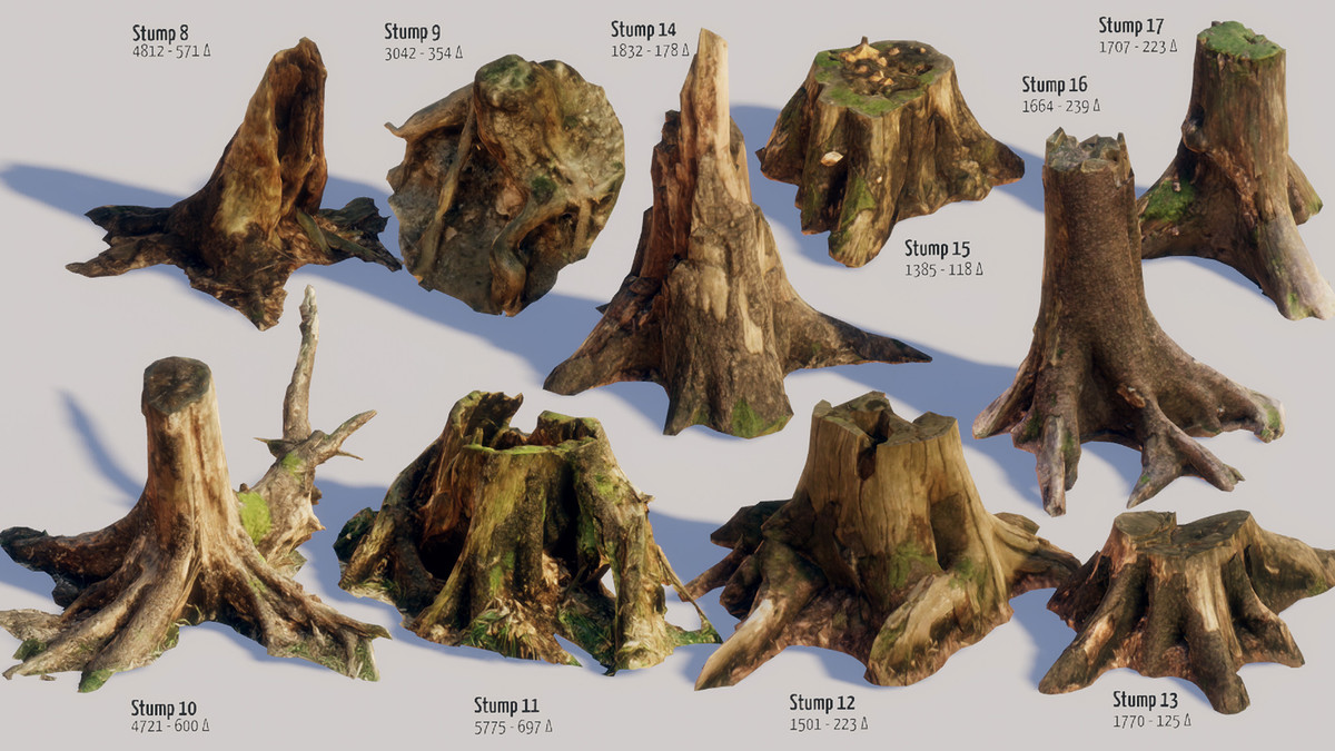 Mountain Forest Stumps