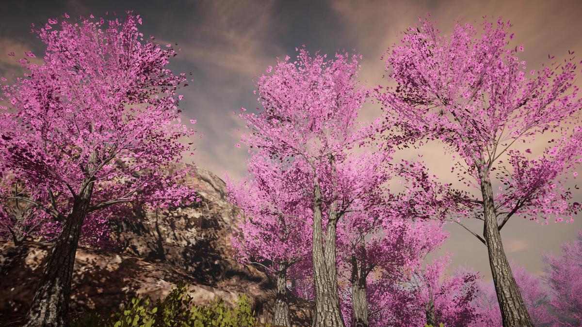 Big Tree Bundle