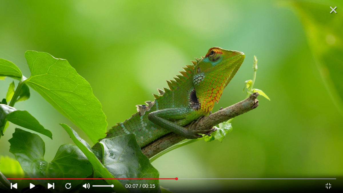 Video Player Cross-Platform