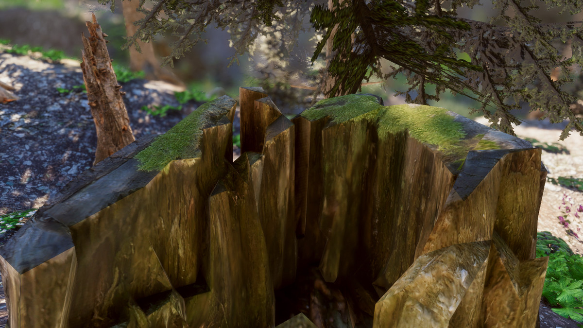 Mountain Forest Stumps