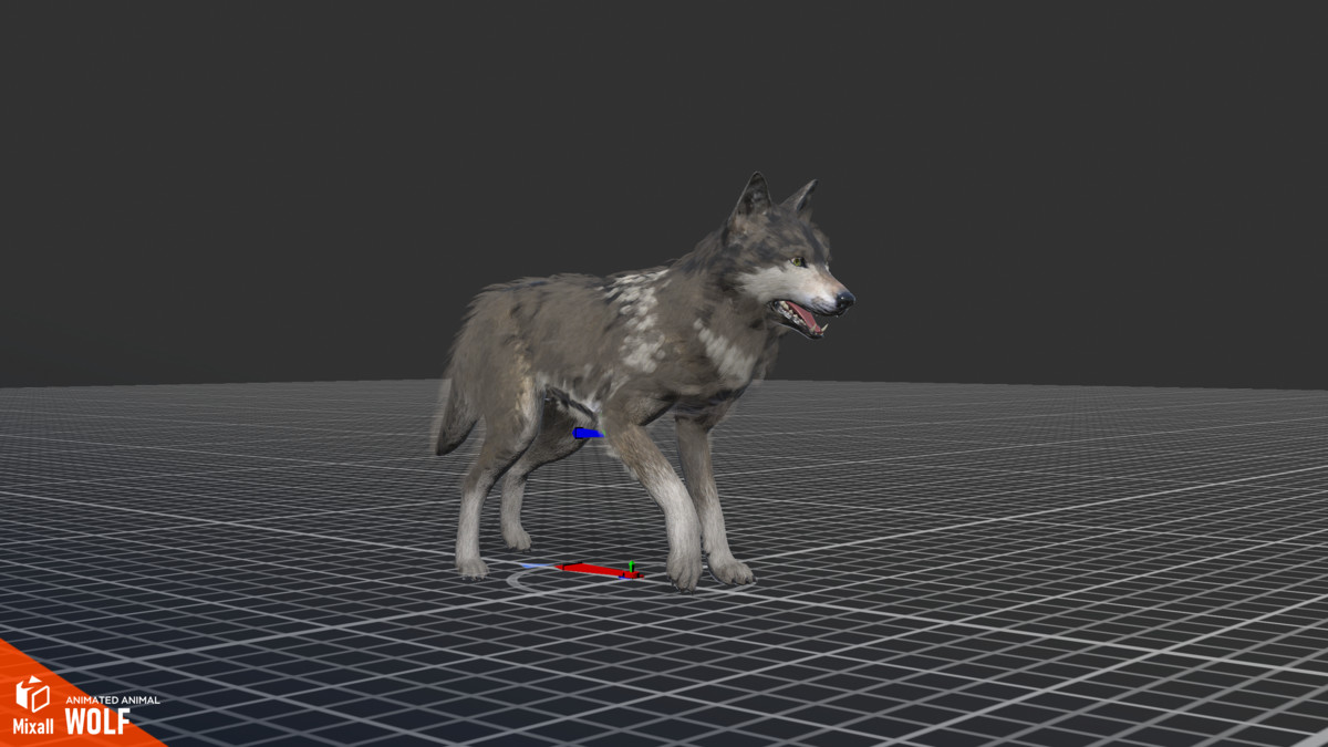 Wolf - animated animal
