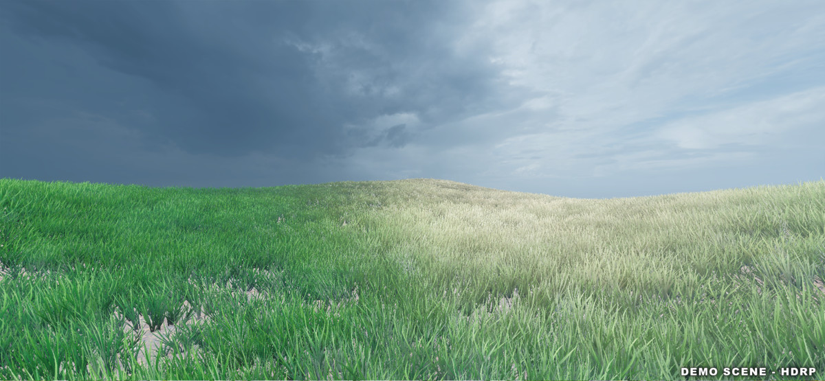 PolyArt Series - Grass & Flowers