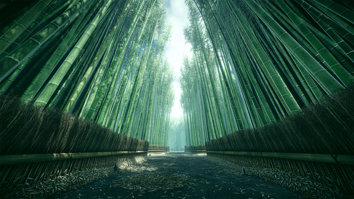 Bamboo Road Map