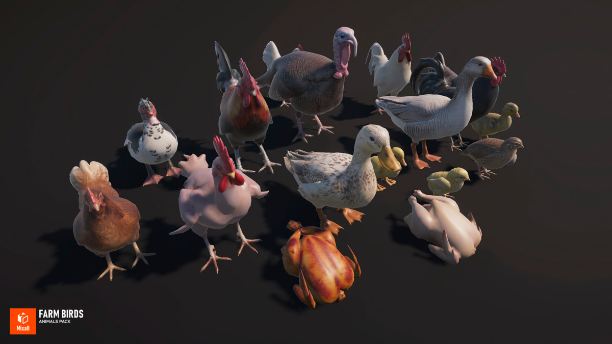 Farm birds - animals pack
