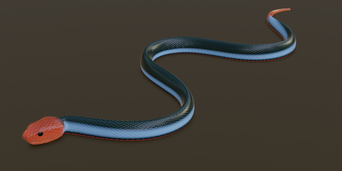 Animated snake pack