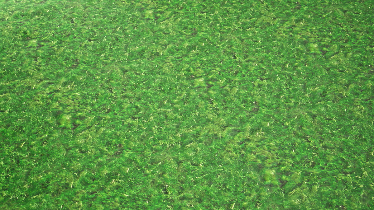 Stylized Materials - Moss 1