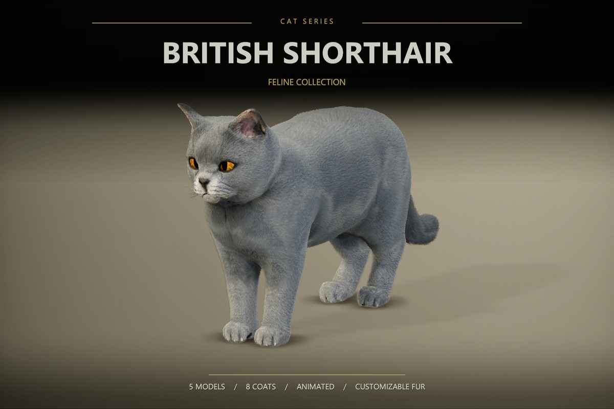 Feline Collection – Realistic Animated Cats with Customizable Fur