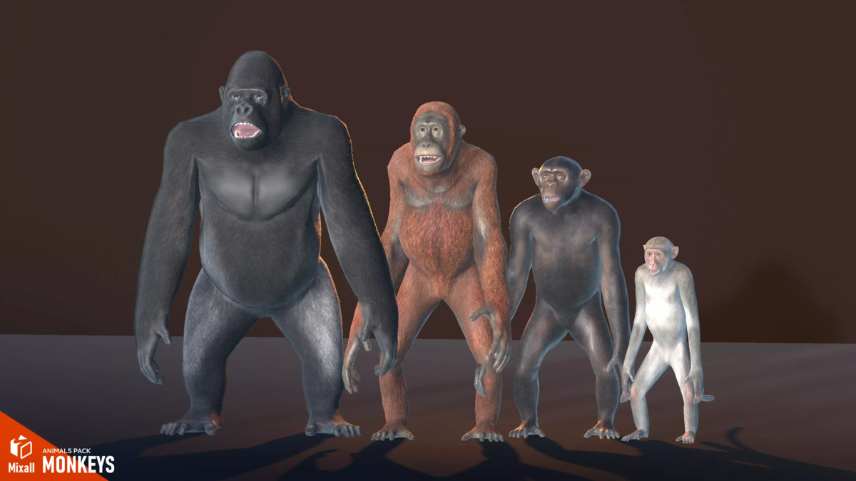 Animals pack - birds, reptiles and others