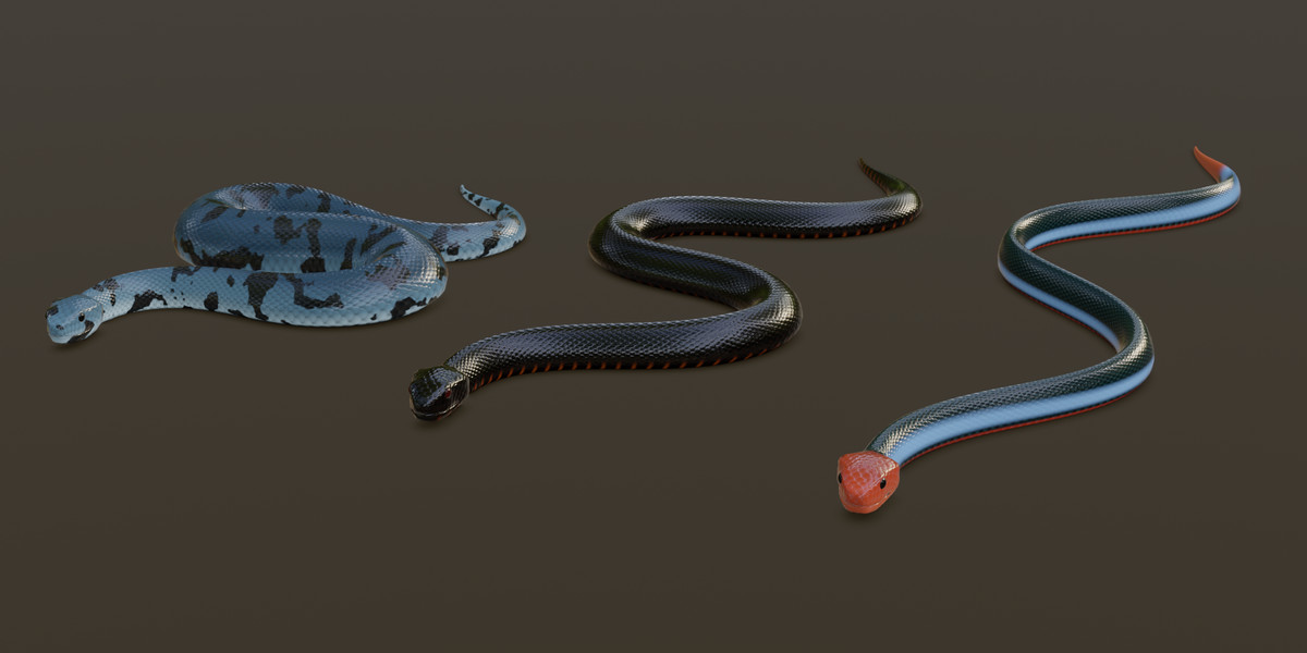 Animated snake pack