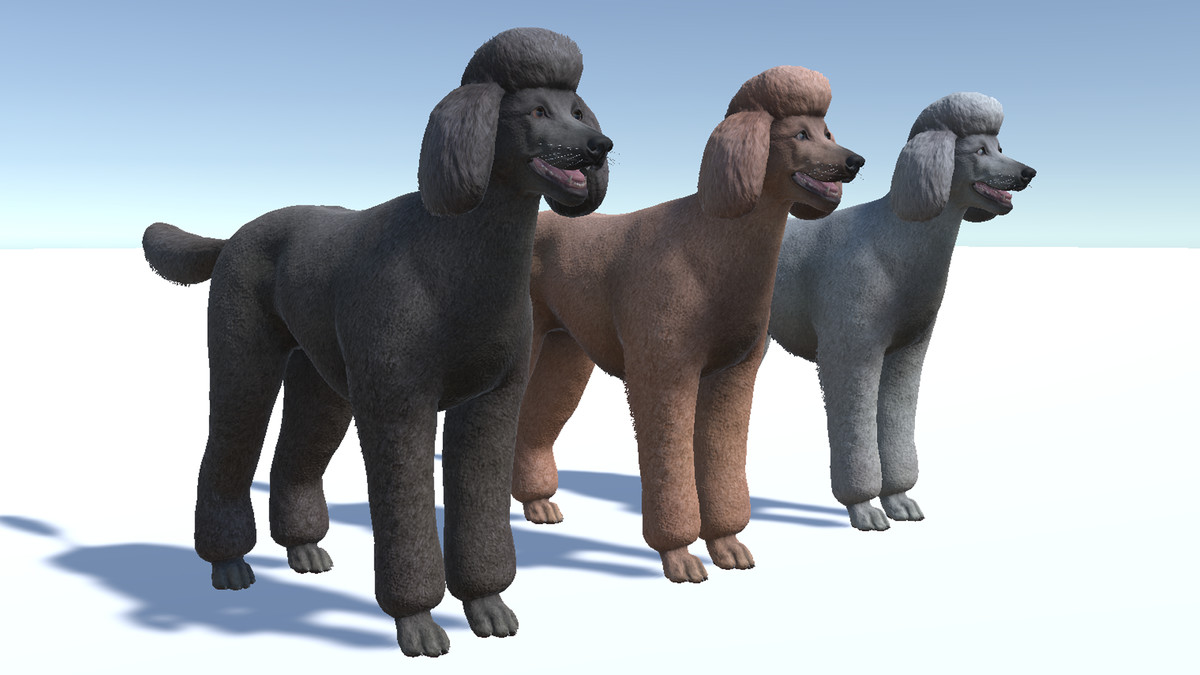 Dog - Poodle