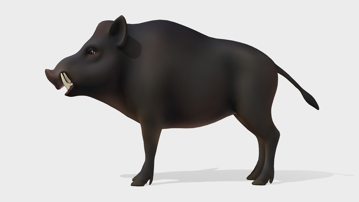Cartoon - Boar